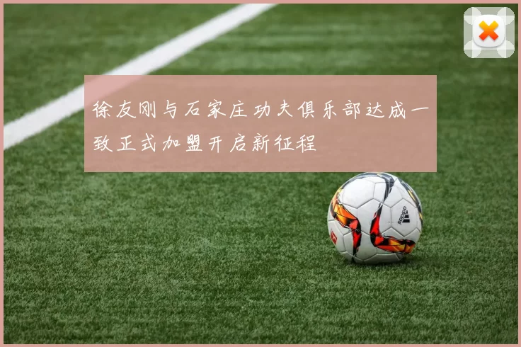 徐友刚与石家庄功夫俱乐部达成一致正式加盟开启新征程